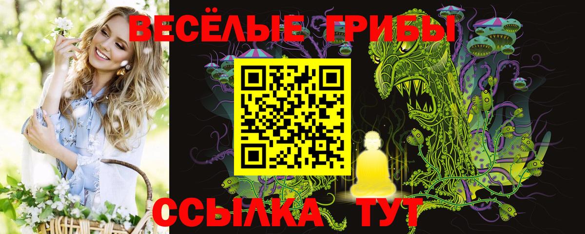 Галлюциногенные грибы мухоморы  Вход с VPN  Среднеуральск  Галлюциногенные грибы Cubensis 