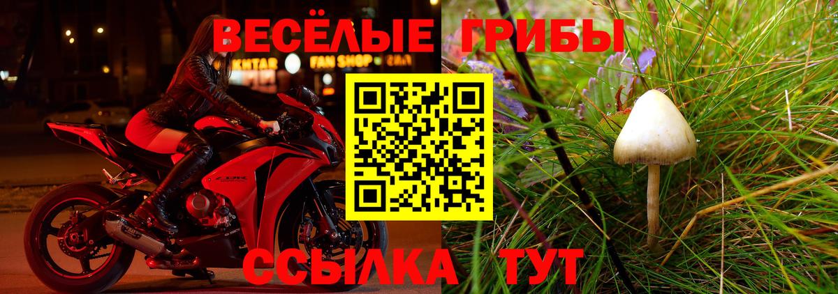 Псилоцибиновые грибы Magic Shrooms Среднеуральск